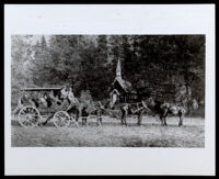 George Monroe, driving a stagecoach with around 7 passengers, circa 1870-1886