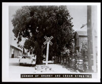 Corner of Shorey and Cedar Streets, Oakland (copy photo made 1930-1989)