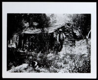 Nate Harrison at his homestead, Palomar, Mount (Calif.), circa 1910-1915