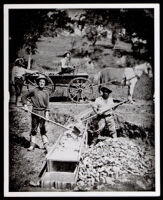 African American and white gold miners at "Spanish Flat," Placerville (vicinity), 1852