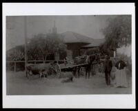 Mr. and Mrs. A. Dunbar in front of their home, Inglewood, circa 1902