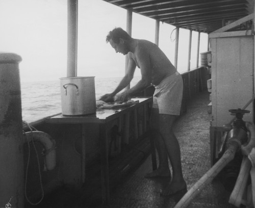 This photo depicts Roger Revelle, who was an oceanographer and director of the Scripps Institution of Oceanography from 1950 to 1964, doing his own laundry using a galley soup kettle placed on a fish cleaning table while at sea during the Midpac Expedition (1950). August 1950