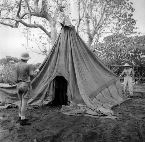 Jeff Holter and Martin Johnson set up camp "Abstain I" on Ennimen Isle, Bikini Atoll. . Capricorn Expedition, October 22, 1952