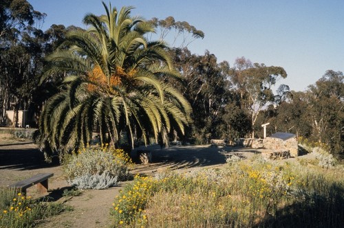 La Jolla Vista View: general view to the northeast