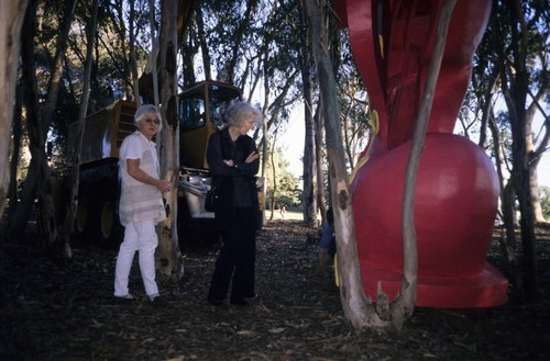 Red Shoe: installation