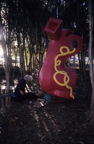 Red Shoe: installation