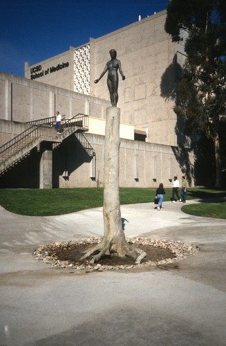 Standing: general view with UCSD School of Medicine in background