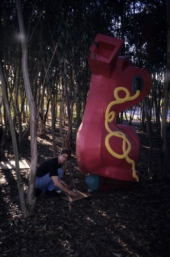 Red Shoe: installation