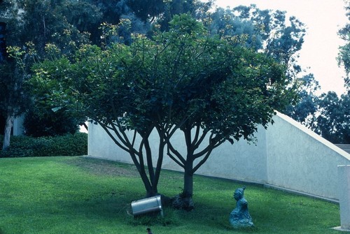 Something Pacific: detail: bronze buddha contemplating old television set