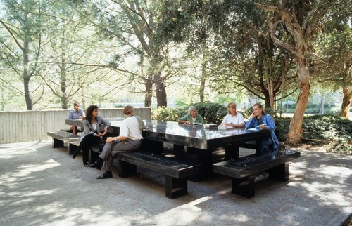 Green Table: general view with people