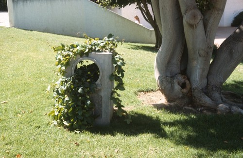 Something Pacific: detail: concrete cast of a television set with passion vine growing through it
