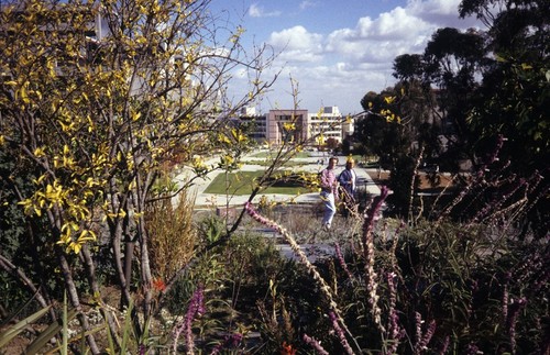 Snake Path: Garden of Eden: view looking east