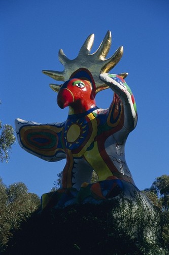 Sun God: bird