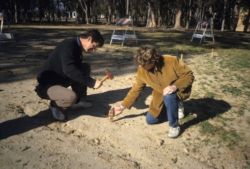 La Jolla Vista View: planning and site preparation: William Wegman and Mathieu Gregoire