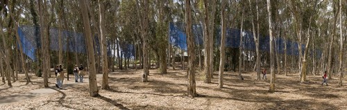 Two Running Violet V Forms: panoramic view of the entire length of fence