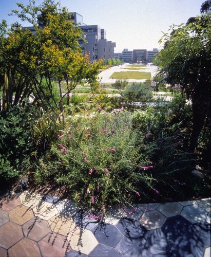 Snake Path: Garden of Eden: view looking east