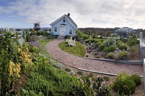 Fallen Star: wide-angle view of garden and house