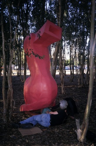 Red Shoe: installation