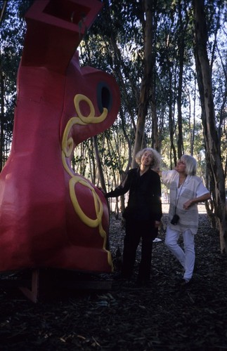 Red Shoe: installation