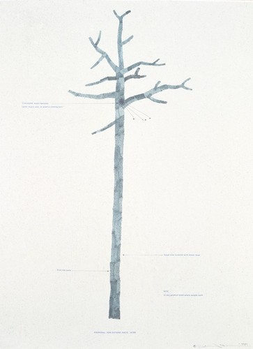 Trees: proposal drawing