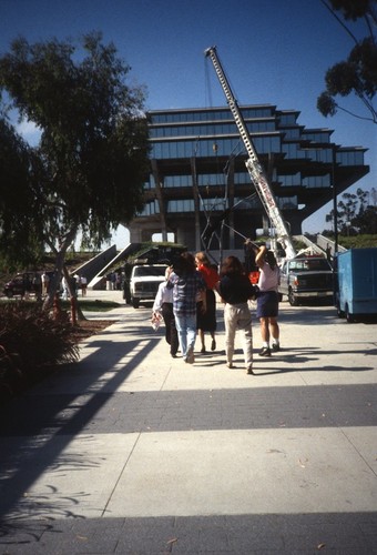 Trees: view of Silent Tree being re-installed in front of Geisel Library, UCSD, June, 1993