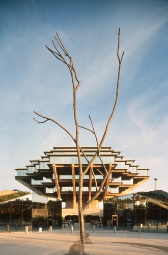 Trees: view of Silent Tree re-installed in front of Geisel Library, UCSD, June, 1993