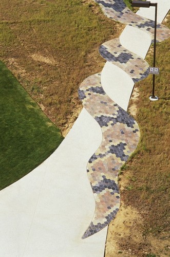 Snake Path: aerial view of snake tail