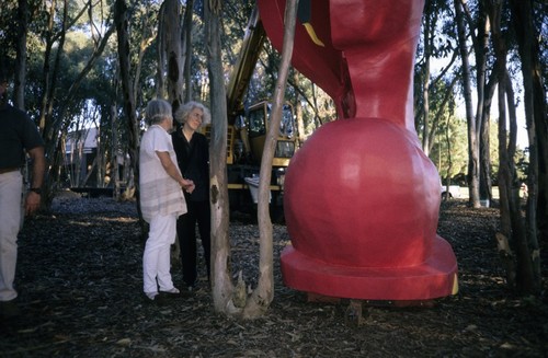 Red Shoe: installation