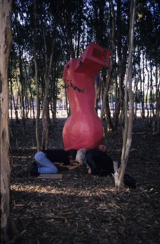 Red Shoe: installation