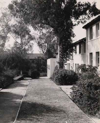 Erdman Hall - South walkway, looking west