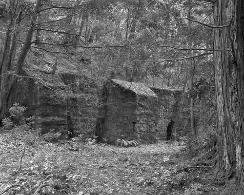 Laguna Creek Kilns of the H.T. Holmes Lime Company