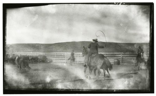 Roping at Rancho Santa Anita