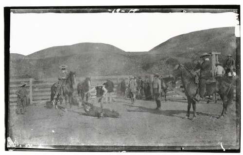 Roping in corral at Rancho Santa Anita