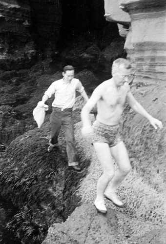 Marston Sargent a biologist at Scripps Institution of Oceanography and C.K. Tseng who would later be known as Zeng Chen-Kui a marine biologist in the Peoples Republic of China, depicted here collecting Gellidium (a type of seaweed) in the La Jolla Caves in La Jolla, California. Circa 1946-1948