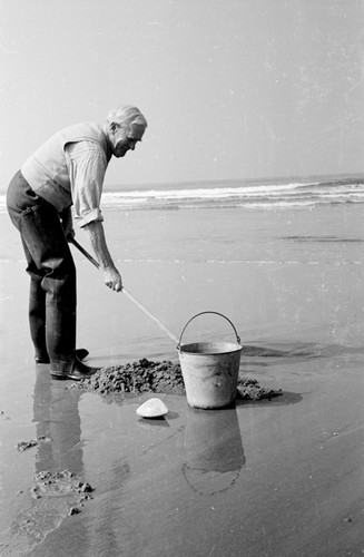 Wesley Roswell Coe (1869-1960) an invertebrate zoologist and marine biologist whose studies at ran the gamut, from investigations into embryology, physiology and morphology. He was especially known for his research on bathypelagic forms. He is shown here working on the beach near the Scripps Institution of Oceanography. Circa 1948