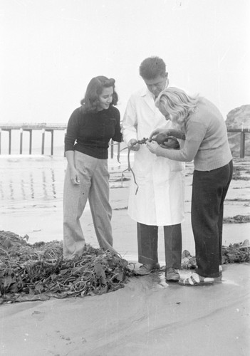 37 Eugenie Clark, Carl Hubbs and Betty Kampa kelping