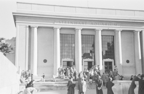 Steinhart Aquarium, circa 1949