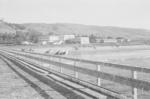 Scripps October 1946 [Scripps Pier]