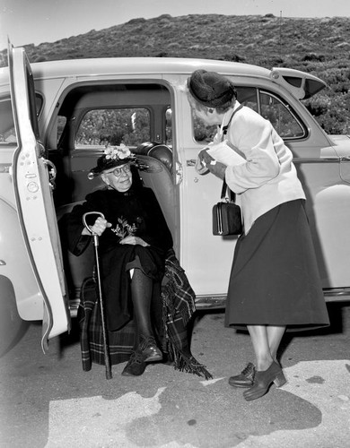 Alice Eastwood, Botanist, California Academy of Sciences, leads a botany trip to Point Reyes and holds a taxonomy court from her car for the students. 1950