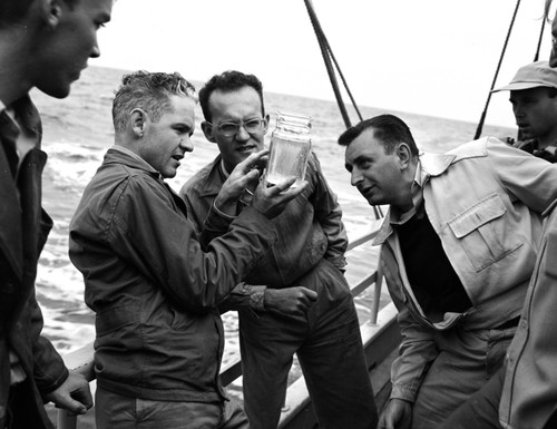 Unidentified Scripps Institution of Oceanography graduate students examine plankton haul on board E.W. Scripps (ship) off San Diego bay. 1947