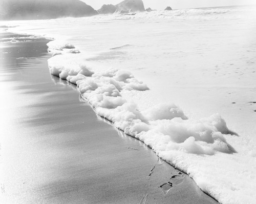 Ocean Suds (Loam), Puice Point, Marin Co., California