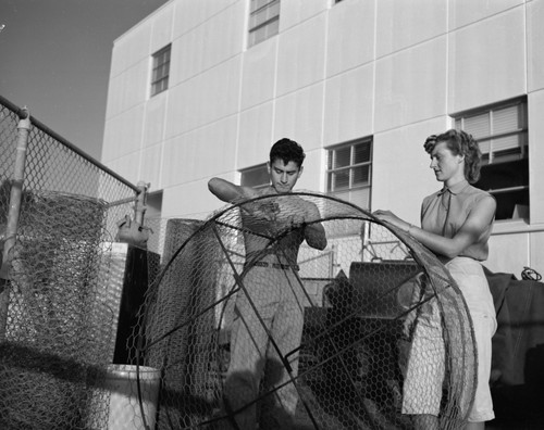 Building fish traps for Scripps Institution of Oceanography Aquarium