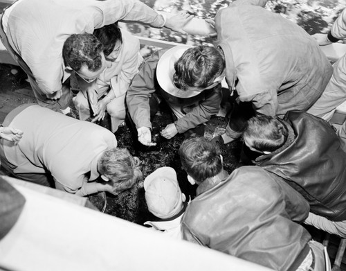 Oceanographer and professor emeritus Martin Johnson (man in white brim hat) of Scripps Institution of Oceanography conducting a dredging trip off Pt. Loma for his marine biology class aboard the E.W. Scripps. Johnson was particularly well known as one of the three authors of the landmark text and reference, The Oceans: Their Physics, Chemistry and General Biology. 1948