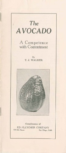 The avocado : a competence with contentment