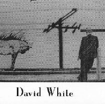 "Theatre of the Burning Horse"