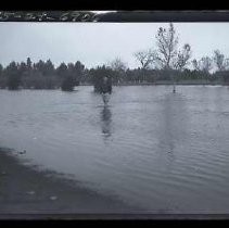 Negative, Safety, unknown