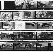 Contact sheet showing preparations for harness racing at Cal Expo ...