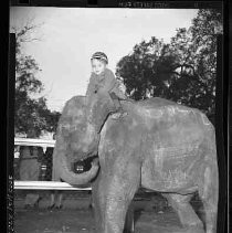 Negative, Safety, Unknown