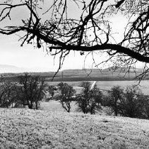 View from Bloody Island