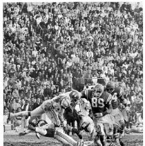 Camellia Bowl football action